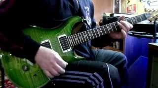 PRS custom 24 eriza verde / DIMARZIO PICKUPS.