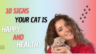 10 Signs Your Cat is Happy and Healthy