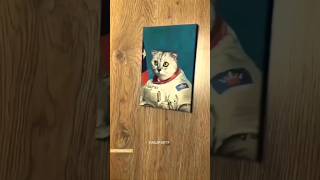 Funny Animals 2024 😂 - Funniest Cats and Dogs video 🐱 🐶 #shorts