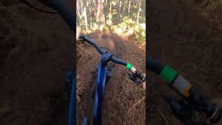 loamy shreddage  #mtb #sick #viral #bike #loam #steezy #mtb4life #epic #dirt