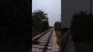 Locomotive SRB-SKG 644-006 "Macosa" & NIS GAZPROM voz Podbara - Pančevo Varoš / Titel, 03. 10. 2024.