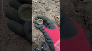 2 nice marbles and an old metal button #bottledigging #metaldetecting #shorts #short