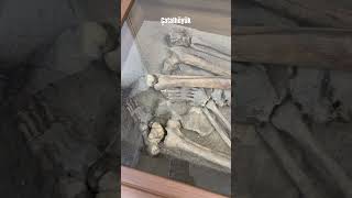 #catalhoyuk #skeleton #2023 #konya #neolithic #tiktok