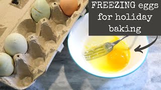 How to FREEZE eggs for all that holiday baking