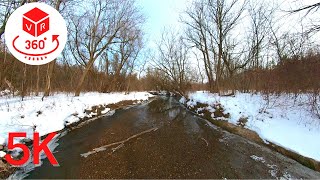 Walk through the melted Forest | VR 360 Video 5K | Can In Canada 🇨🇦