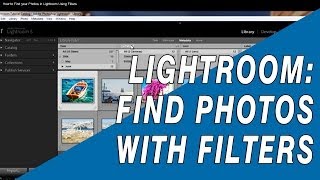 How to Find your Photos in Lightroom Using Filters