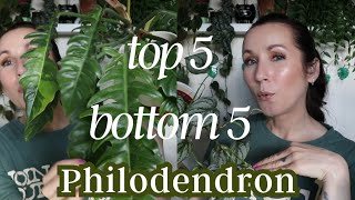 TOP 5 / BOTTOM 5 Philodendron! *Best and Worst plants in my collection*