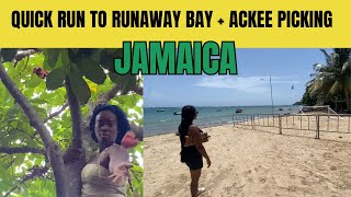 Wow! So this is Runaway Bay| St. Ann Jamaica