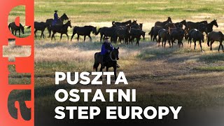 Dzika Europa. Węgierska puszta | ARTE.tv Dokumenty