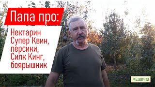 Папа про Супер Квин, персики, Силк Кинг, боярышник