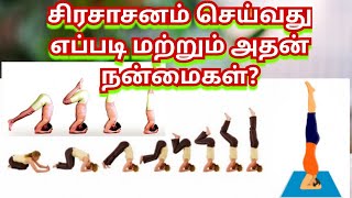 சிரசாசனம் செய்வது எப்படி மற்றும் அதன் நன்மைகள். ?ஓம் நமசிவாய....