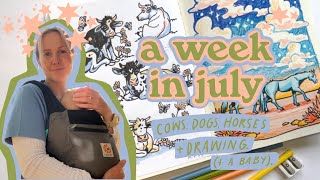 A week in July • Sketchbook drawing cows & artist vlog