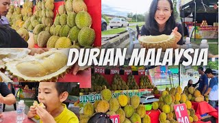 DURIAN MALAYSIA / SẦU RIÊNG MALAYSIA / Cuoc Song Malaysia - Ngocmo family 0115