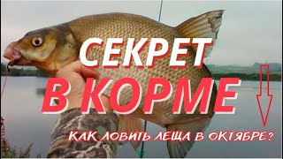 Ловля леща в октябре - где, на что и как ловить леща