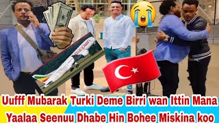 Mubarik Hin Bohe Birri Umani Na Gargaree Tokkolee Hin Argine Amma Turki Demee wanitin Yalamu dhabe🇹🇷