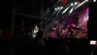 The Sounds - Thrill - Live at HX, Helsingborg