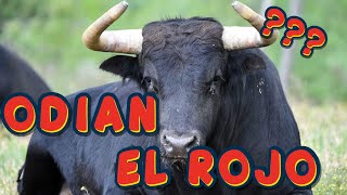 ¿POR QUÉ LOS TOROS EMBISTEN ALGO ROJO?