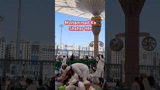 Mohammad Ke Shahar me #madina #live #viral