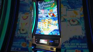 Epic Win on Sumatra Tiger 2 Slot machine ! Bonus wilds across the screen! Huge payout!