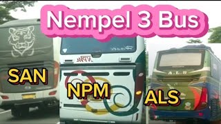 NEMPEL 3 BUS DI TOL ‼️ALS,NPM,SAN