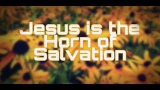 Jesus is the Horn of Salvation (Luke 1) - Dr. John Piper