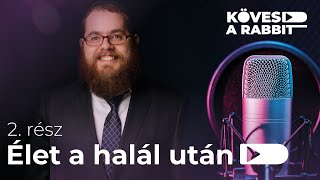 Kövesd a rabbit podcast 2 – Élet a halál után