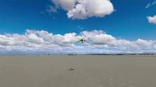 Buschtrottel  am Strand von St. Peter-Ording und auf der Straße Sensenmuehle