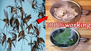 100% Working நிமிடத்தில் வீட்டில் உள்ள கொசு அனைத்தும் மறைந்துவிடும் Home Remedy To Prevent Mosquitos