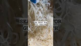 Sea moss for gut health