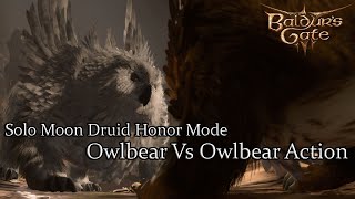 Solo Moon Druid Owlbear Nest -Honor Run