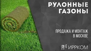 Укладка и обслуживание газонов в Москве и Московской области