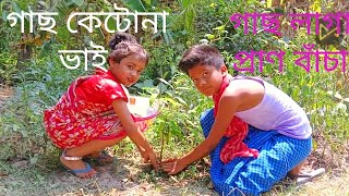 গাছ কেটোনা ভাই।। গাছ লাগাও প্রাণ বাঁচাও।।PLANTATION & CONSERVATION ||@Avantika_Home_Story