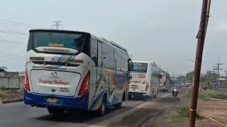 AKSI EKA CEPAT JAYA KUNING BIKIN SUGENG RAHAYU‼️ NYUSUL Hunting Sensasi Bus Jawatimuran?