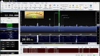 12356kHz, Finish Round The World Yacht Race Net?  2024 04 06 20 . 2005z.