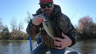 February Bass Fishing #winterfishing