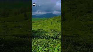 🏞️Valparai hills whatapps sataus | beautiful place watsapp sataus | love watsapp sataus |#trending