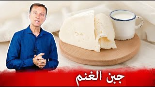 ١٠ فوائد رائعة لجبن الغنم - دكتور بيرج