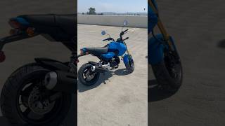 Is the Stock Exhaust for the 2025 Honda Grom loud enough? (idle) #grom #honda #bike #minibike