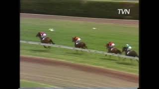 1984 MELBOURNE CUP - BLACK KNIGHT