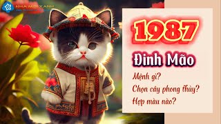 Người sinh năm 1987 (Tuổi Đinh Mão) hợp cây gì - màu gì? - Phong thủy tuối Đinh Mão | Nhà Mới Xanh