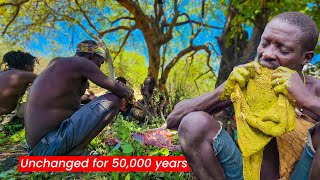 Mastering Meals In The Wild With Traditional Hadzabe Cooking | Hadza Life Compilation Documentary 3