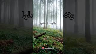 وبرا بوالدتي ولم يجعلني جبارا شقيا