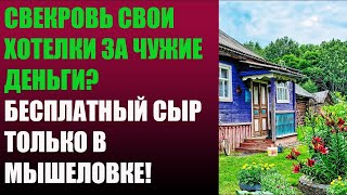 Свекровь свои хотелки за чужие деньги? Бесплатный сыр только в мышеловке!  || Тристен Сантос