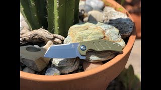 Kizer Vanguard Mini Sheepdog