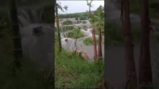 sawah banjir, desa ngujung toyomarto Singosari Malang Jawa Timur