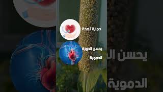 البشنة او الدخن Millets السر الصحي المخفي والبديل الصحي للقمح