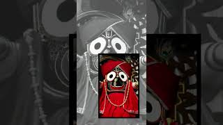 JAY SHREE JAGANNATH JI STATUS VIDEO// RATH YATRA PURI //#rathyatra #jagannath #purijagannadh2023 #1k