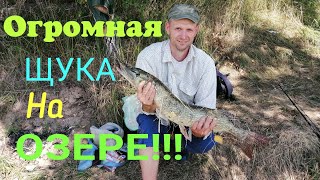 В ЖАРУ ЩУКА ВОТ ЭТО ДА!ЛОВЛЯ ЩУКИ С БЕРЕГА НА ДЖИГ!