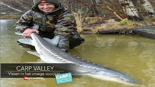 Carp valley karpervissen in Gelderland