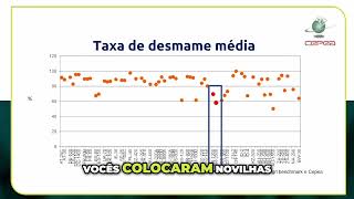 É fundamental focar em estratégias para aumentar a taxa de prenhez